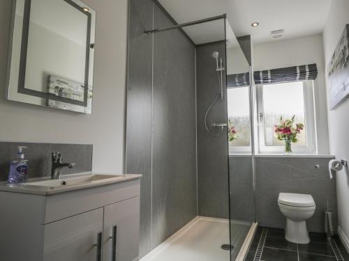 a bathroom with a shower and a toilet and a sink at 24 Waters Edge in Banff