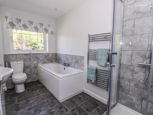 a bathroom with a tub and a toilet and a sink at Pen Y Maes in Builth Wells