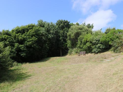 a bench sitting on top of a hill with trees at Gannet Watch in Coverack