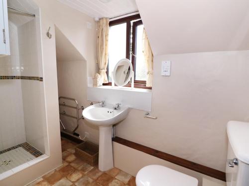 a bathroom with a sink and a toilet and a window at Oak Cottage in Llanidloes