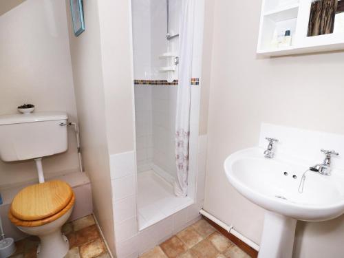 a bathroom with a toilet sink and a shower at Cedar Cottage in Llanidloes