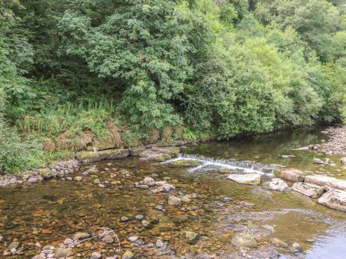 Old Tredegar Arms – Photos 3