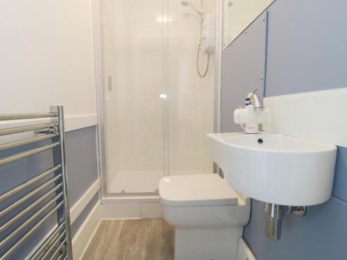 a bathroom with a toilet and a sink and a shower at No 9, Watchet in Watchet