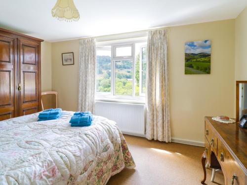 a bedroom with a bed and a window at Swn Y Coed in Corwen