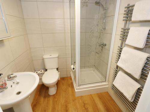 a bathroom with a shower and a toilet and a sink at The Granary Cottage in Llangranog