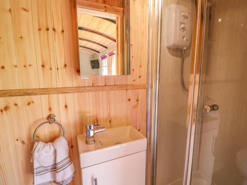 y baño con lavabo y ducha. en Railway Carriage en Abergavenny