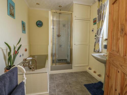 ein Badezimmer mit Dusche und Waschbecken in der Unterkunft Woolly Welcome in Penzance