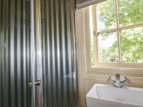 baño con lavabo, ventana y ducha en Orchard, en Wadebridge