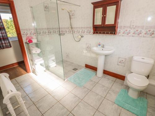a bathroom with a shower and a toilet and a sink at Broadford Farm Bungalow in Kidwelly