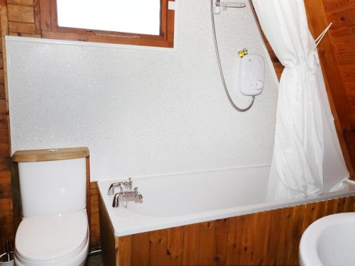 a bathroom with a bath tub and a toilet at Apple Tree Lodge in Gillingham