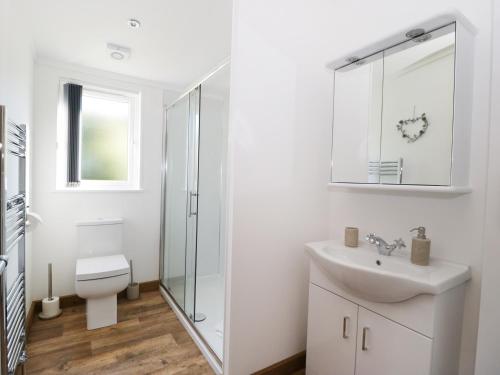 a white bathroom with a toilet and a sink at Beech Tree Lodge in Skirpenbeck