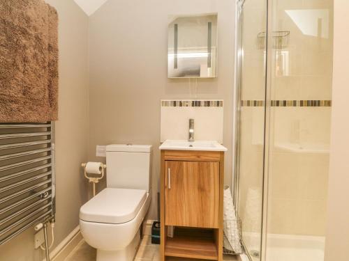 a bathroom with a toilet and a sink and a shower at Higher Forda in Bradworthy