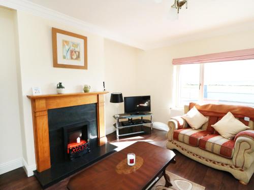 a living room with a fireplace and a couch at Labasheeda in Kilrush
