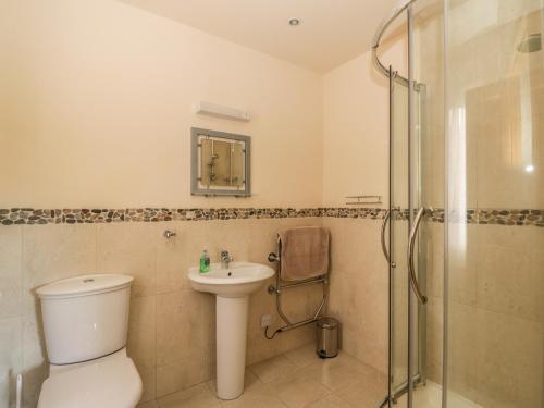a bathroom with a toilet and a sink and a shower at Burnside Lodge Lodge 1, Glengoulandie in Aberfeldy