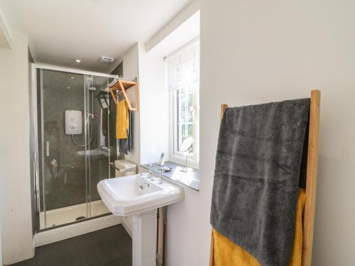W łazience znajduje się umywalka i prysznic. w obiekcie The Daffodil Shed w mieście Yelverton