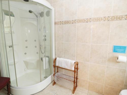 y baño con ducha y cabina de ducha acristalada. en Gelli Glud, en Eglwys-Fâch