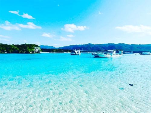 全室個室 Private Stay Guesthouse Opuntia