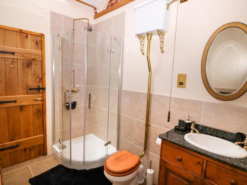 a bathroom with a shower and a toilet and a sink at Honey Buzzard Barn in Fakenham
