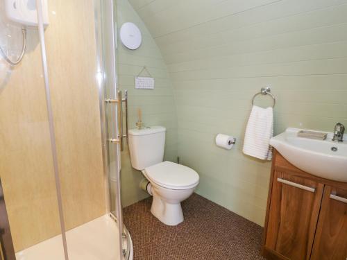 a small bathroom with a toilet and a sink at Gelert Pod in Tremeirchion