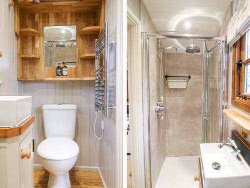 un baño con inodoro y ducha en Little Silver Fox, en High Bickington