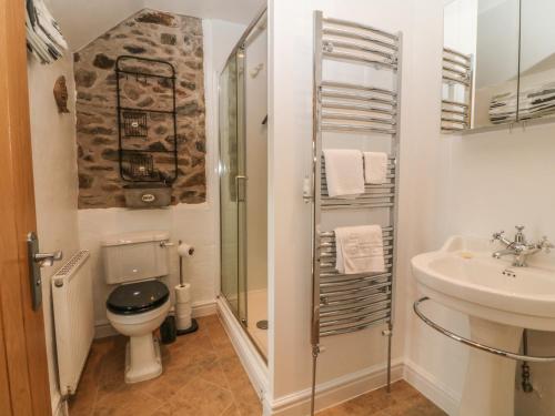 a bathroom with a toilet and a sink and a shower at Rhianfa in Llanfairpwllgwyngyll