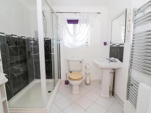 ein Bad mit einem WC, einer Dusche und einem Waschbecken in der Unterkunft The Duck House in Norwich