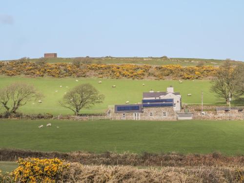 a building in a field with sheep in the distance at Beudy Tyddyn in Llandyfrydog