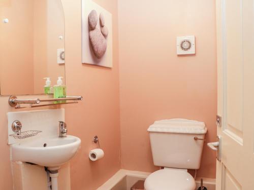 a bathroom with a white toilet and a sink at Bearscombe in Ivybridge