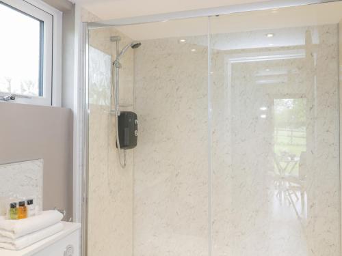 a shower with a glass door in a bathroom at Pheasant Lodge at Chapel Lodges in Wimborne Minster