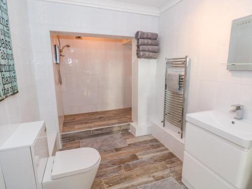 een witte badkamer met een toilet en een douche bij Swn y mor in Narberth