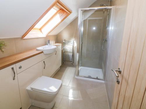 a bathroom with a shower and a toilet and a sink at Llain Haf in Llangefni