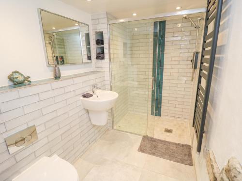 a bathroom with a shower and a toilet and a sink at Thompson Rigg Barn in Scarborough