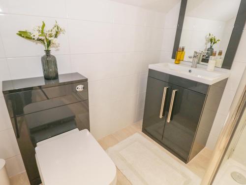 a bathroom with a toilet and a sink at Kirkstone Cottage in Ambleside