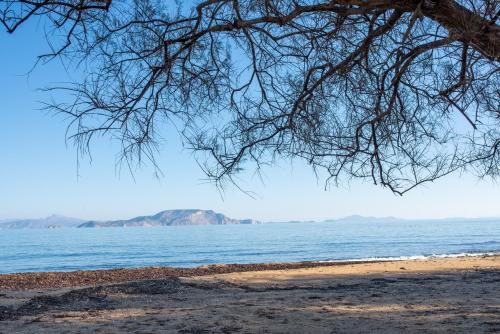 a view of the beach from under a tree at Anthoula's House in Psathi