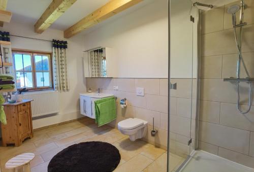 La salle de bains est pourvue d'une douche, de toilettes et d'un lavabo. dans l'établissement Strass4, à Neumarkt-Sankt Veit