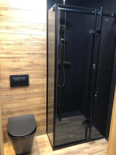a bathroom with a glass shower with a toilet at Black Diamond 18 in Pasłęk