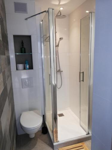 une salle de bain avec douche et toilettes dans l'établissement Les Marines II - New Design - En bord de mer - Tout Confort - Proche commerces et Animations, au Barcarès