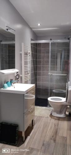 une salle de bain avec toilettes, lavabo et douche dans l'établissement GITE LES AILES DU VENT- BUIGNY ST MACLOU, à Buigny-Saint-Maclou