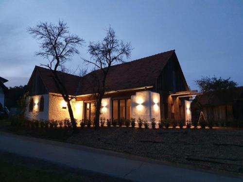 a house lit up at night with lights on it at Wohlfühloase am Trausdorfberg mit Sauna, Whirlpool und Panorama in Sankt Marein bei Graz