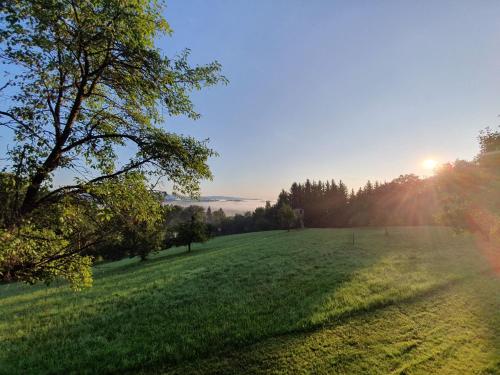 a grassy field with the sun in the background at Wohlfühloase am Trausdorfberg mit Sauna, Whirlpool und Panorama in Sankt Marein bei Graz