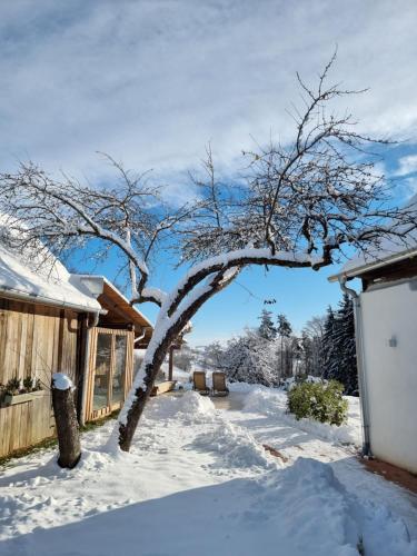 a tree in the snow in front of a house at Wohlfühloase am Trausdorfberg mit Sauna, Whirlpool und Panorama in Sankt Marein bei Graz