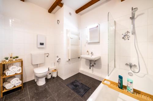 ein Bad mit einem WC, einer Dusche und einem Waschbecken in der Unterkunft Stylisches Penthouse zentral Tischfussball 100m2 Wii in Hannover