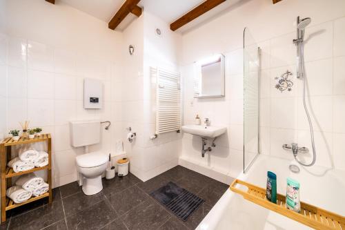 a bathroom with a toilet and a shower and a sink at Stylisches Penthouse zentral Tischfussball 100m2 Wii in Hannover