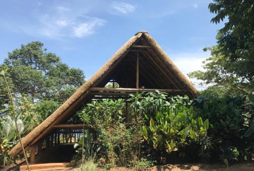 a thatch roofed house in a garden with plants at Mabamba Lodge in Wakiso