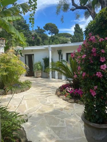 Cap d'Antibes 50m from the beach 3 bedrooms/Pool