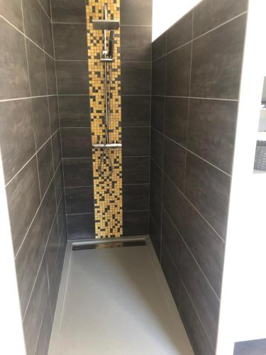 a shower in a bathroom with black tiles at Les Vieille tuiles in Cudos