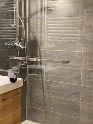 a shower with a glass door next to a sink at STUDIO 2 ALPES STYLE CHALET au PIED DE TELESIEGE DU DIABLE in Les Deux Alpes