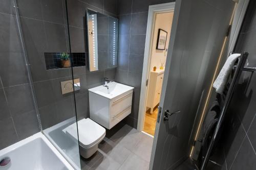 a bathroom with a toilet and a sink and a shower at Thorpe Road 1 Bed Apartment with Parking in Norwich