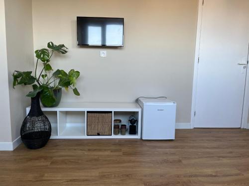 a living room with a plant and a tv on the wall at Weltevreden in Noordwijk