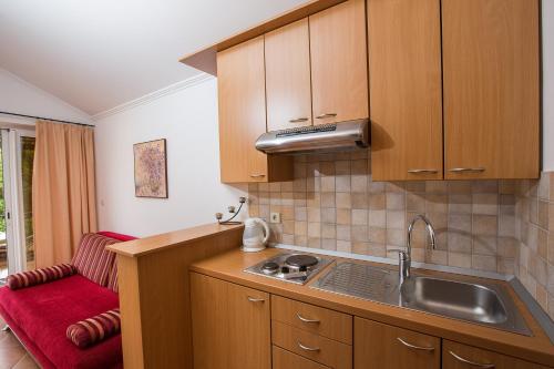 eine Küche mit Holzschränken und einem Waschbecken in der Unterkunft Apartments Benussi in Dubrovnik